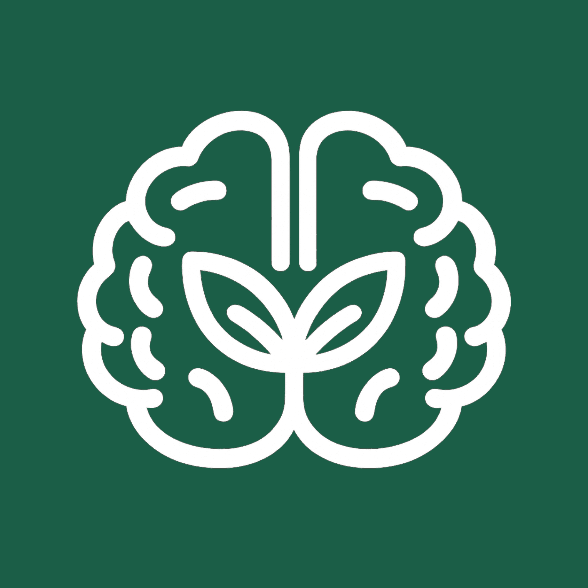 BrainSynex logo