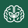 BrainSynex logo